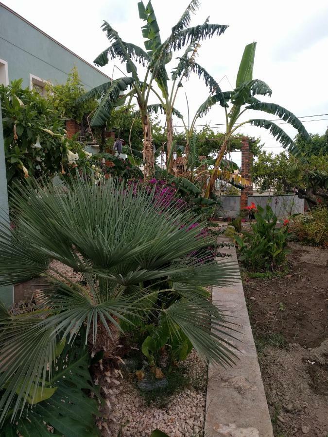 Hébergement de vacances Casa Baleso Deltebre