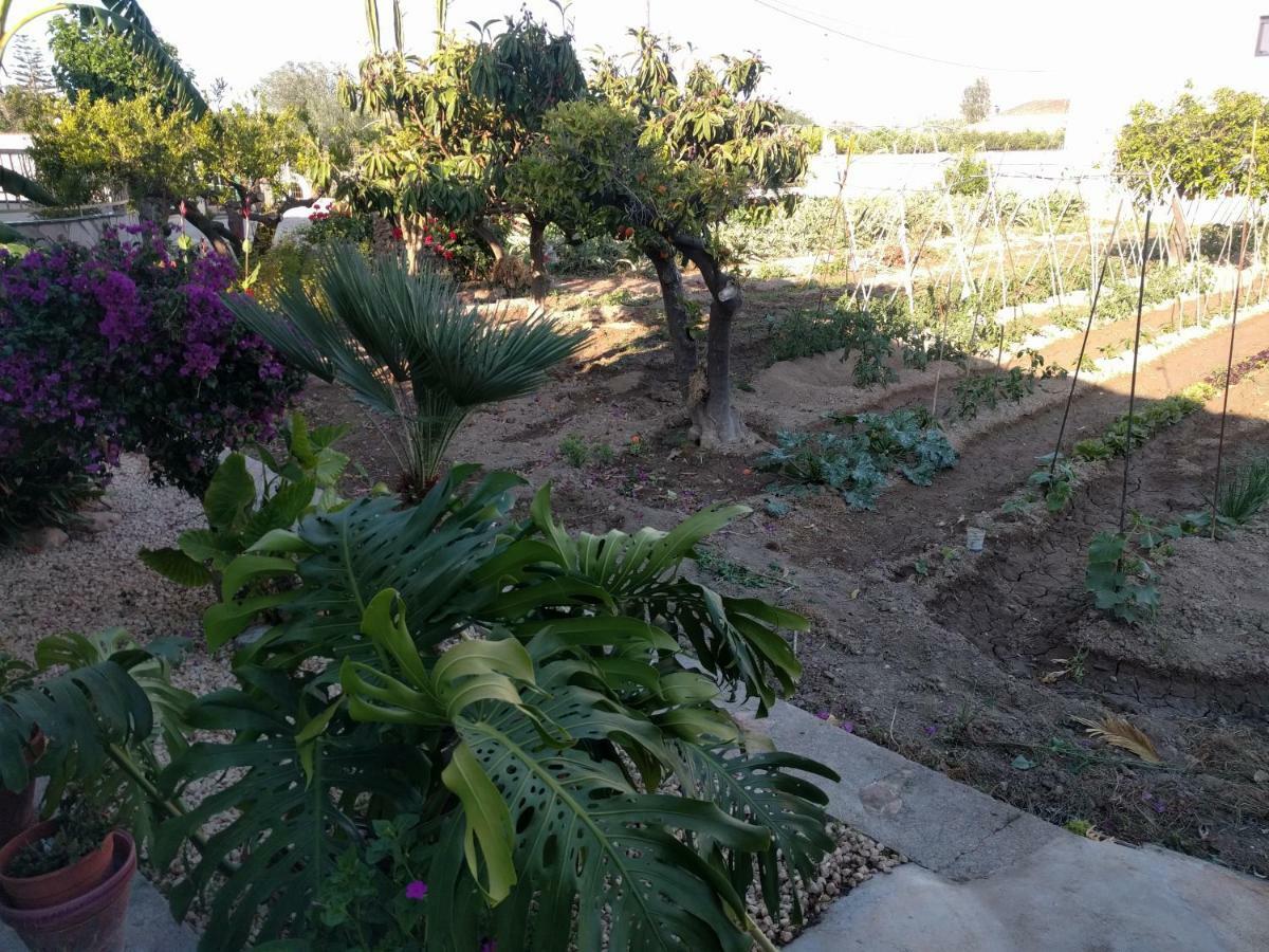 Hébergement de vacances Casa Baleso *