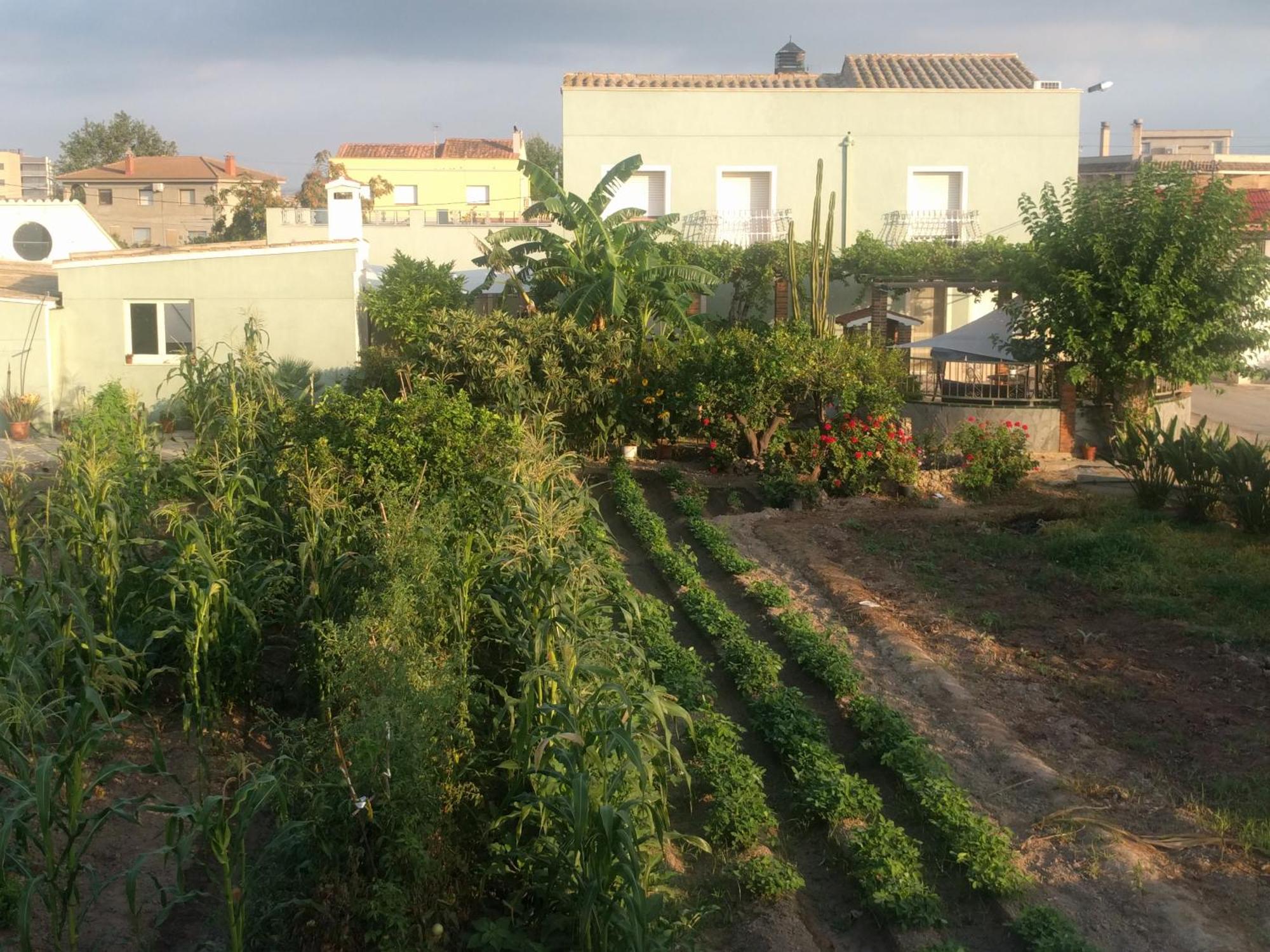 Casa Baleso Holiday home Deltebre