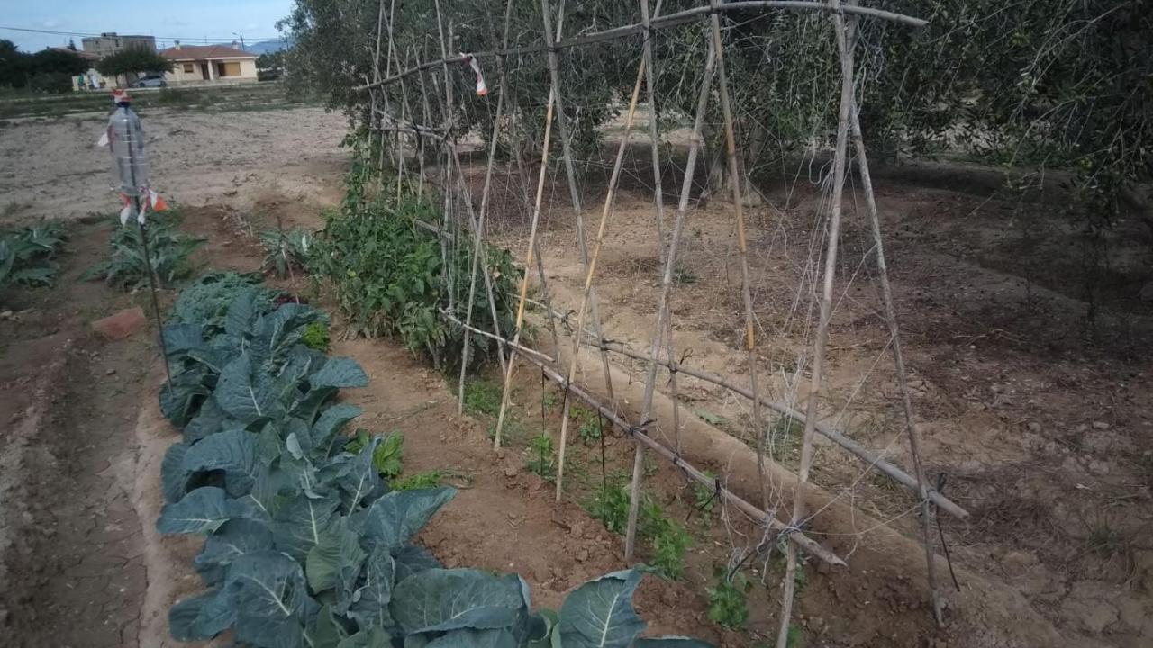 Hébergement de vacances Casa Baleso Deltebre
