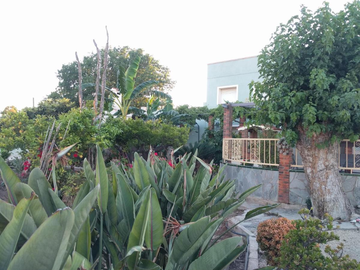 Casa Baleso Vakantiehuis Deltebre